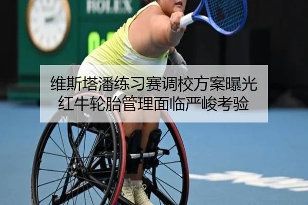 维斯塔潘练习赛调校方案曝光 红牛轮胎管理面临严峻考验